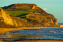 Beach at Golden Cap, part of the Jurassic coastline, with people walking along the shoreline, Dorset, UK November 2007