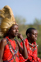 Maasai warrior wearing Lion mane headdress, Masai Mara Reserve, Kenya, East Africa, August 2008
