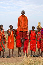Maasai warrior ceremonial jumping, wearing traditional clothing. Near Masai Mara Reserve, Kenya, East Africa, August 2008