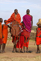 Maasai warriors ceremonial jumping, wearing traditional clothing. Near Masai Mara Reserve, Kenya, East Africa, August 2008