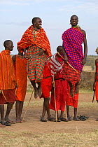 Maasai warriors ceremonial jumping, wearing traditional clothing. Near Masai Mara Reserve, Kenya, East Africa, August 2008