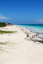 Sandy beach near Tulum, Yucatan,  Mexico, October 2006.