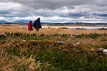 Couple walking on Inner Farne, with the Northumberland Coast Area of Outstanding Natural Beauty (AONB) and Bamburgh Castle in the distance, Farne Islands, Northumberland, England, July 2010.
