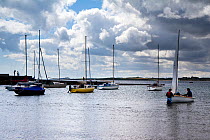 Yachts anchored off the beach at Beadnell, with Dunstandburgh Castle in the background to the south, Northumberland Coast Area of Outstanding Natural Beauty (AONB), England, July 2010.