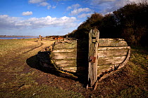 Transom of the "Harriet", a Kennet barge beached in 1956 on the banks of the River Severn, one of many beached to help stablise the shore from erosion, Gloucesterhire, England, January 2010.