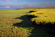 Characteristic eroded saltmarsh cliff features on the River Severn, with the Oldbury Power Station in the background (now being decomissioned with another larger replacement being considered), South G...