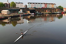 Rower with terrace of colourful houses on Redcliffe Quay beyond, reflected in the water of Bristol's floating Harbour in early morning, Bristol, England, May 2008.