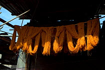 Skeins of freshly dyed wool hang out to dry in an alleyway in the dye souk, Marrakech, Morocco, March 2010.