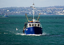 Small fishing trawler day-boat returning to Brixham Harbour to land its catch, Devon, England.
