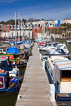 Bristol marina, on Bristol's floating Harbour, England, April 2010.