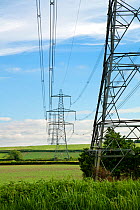 Electricity pylons crossing farmland, England, May 2010.