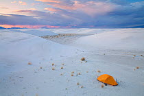 Photographer's campsite with yellow tent in the White Sands National Park, southern New Mexico, USA, April 2010