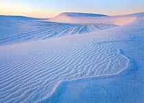 View of snow-like dunes of the White Sands National Park. These sand grains consist of tiny crystals of gypsum. New Mexico, USA, April 2010