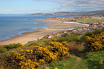 Penrhyn Bay looking east from Little Orme, North Wales, UK, April 2010