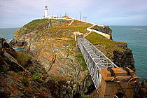 Footbridge across sea to South Stack lighthouse island, Anglesey, North Wales, UK, July 2010