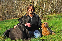 Woman sitting in a field, with her two dogs, a Great Dane, and a Yorkshire terrier, France