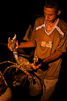 Silas, headman of Kabilo Village holding a Giant Mud Crab, caught whilst spearfishing at night from  canoes in Mayalibit Bay. Waigeo Island, West Papua, Indonesia, April 2007