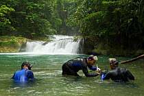 Marine biologists Mark Allen, Mark Erdmann, and Gerry Allen (L to R) collecting freshwater fish specimens in a remote river on the Fak Fak Peninsula, Papisol Area. West Papua, Indonesia, April 2007