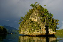 Limestone islets within Triton Bay, Raja Ampat, West Papua, Indonesia, April 2007