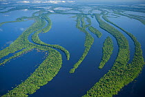 Aerial view of Anavilhanas Archipelago, Flooded forest, Rio Negro, Amazonia, Brazil, July 2008