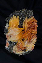 Barite (BaS04) on Cerrusite Mibladen Morocco Barite (orange) is the major ore of barium (barium sulfate) - Mineral class: sulfates - Barite is an important commercial mineral - Widely used as a pigmen...