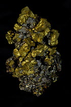 Chalcopyrite (CuFeS2) (Golden) - Commodore Mine - Colorado - USA - The major ore of copper - Copper Iron sulfide. Very important economic ore