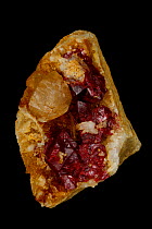 Cinnabar (HgS) Mercury sulfide, Poverty Peak Nevada. Only ore of mercury.
