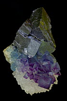Fluorite (CaF2-calcium fluoride) and Galena (PbS - lead sulfide) and Quartz (SiO2 - silicon dioxide) - Blanchard Mine - Portales Tunnel - Socorro County - New Mexico -Fluorite (purple) is one of the m...