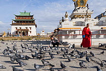 Man feeding Feral pigeons (Columba livia) in front of Gandan Monastery in Ulan Bator, Mongolia, September 2008