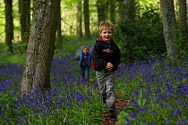 Young boy and girl playing in Bluebell (Hyacinthoides non-scripta) wood, Norfolk, UK, May. Model released