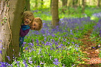 Young boy and girl playing in Bluebell (Hyacinthoides non-scripta) wood, Norfolk, UK, May. Model released.