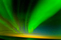Northern lights (Aurora borealis) across the night sky, over the Beaufort Sea, off shore from the 1002 area of the Arctic National Wildlife Refuge, Alaska September 2009