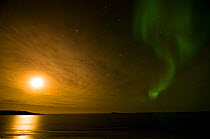 Northern lights (Aurora borealis) across the night sky as the late summer midnight sun travels eastward, over the Beaufort Sea, off shore from the 1002 area of the Arctic National Wildlife Refuge, Ala...