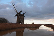 Derelict windmill on the margins of a drainage canal with pair of mute swans (Cygnus olor) swimming nearby, December 2009, near Horsey, Norfolk Broads, Norfolk, UK.