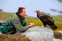Lloyd Buck, professional bird trainer, with 'Tilly' a female Golden Eagle (Aquila chrysaetos) that was  filmed in Glenveagh National Park, Donegal, Republic of Ireland. August 2010. Model released.