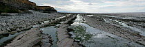 Kilve Beach, Somerset, UK. An SSSI designated for its geological formations and fossil bearing rocks. September 2010. Digital Composite.