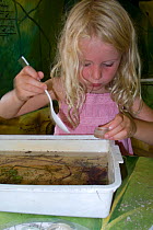 Portrait of young blonde haired girl enjoying a pond safari, and observing some of the pond species caught earlier, at the Arundel Wetlands trust. Sussex, England, UK. Model released, July 2010