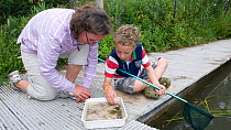 Families enjoying a pond safari day at the Arundel Wetlands trust, Sussex, UK, Children go netting and in attempt to catch animals and insects living in the ponds. Model released July 2010
