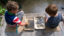 Two little boys enjoying a pond safari day at the Arundel Wetlands trust, Sussex, UK,  where children go netting and catch species of animals and insects in the ponds. Model released July 2010