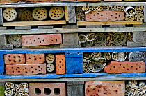 Insect hotel  / Artificial nest holes and shelter for insects and invertebrates, in garden, England, UK, August 2010