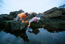 Boy (nine years) and father exploring tidepool, Plum Cove, Gloucester, Massachusetts, USA Model released Model released.