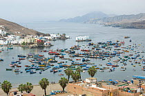 Pucusana Harbour, Lima Province, Peru
