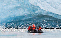 Travellers in zodiac boat amongst feeding Kittiwakes (Rissa tridactyla) in front of the Monaco Glacier, Leifdefjorden, Svalbard, Arctic Norway 2010