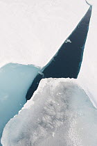 Pack ice broken by ship, Svalbard, Arctic Norway 2010