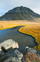 Tundra pond with mountain in the distance, Edgeoya (Edge Island) Svalbard, Norway, August 2010