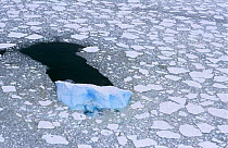 Iceberg blown through sea ice by the wind, leaving open water in its place, East Antarctica. 1998.
