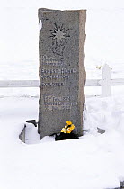Explorer Sir Ernest Shackleton's grave at Grytviken. South Georgia, Sub Antarctica.