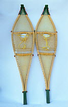Two snowshoes, made from larch frames strung with sinew and dental floss by a cree woman from Mistasini. Quebec, Canada.