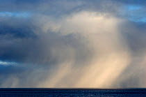 Snow squall in the sea off Svalbard, Norway.