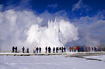 Tourists watching the Fountain Paint Pot Geyser erupt. Yellowstone National Park, USA.
